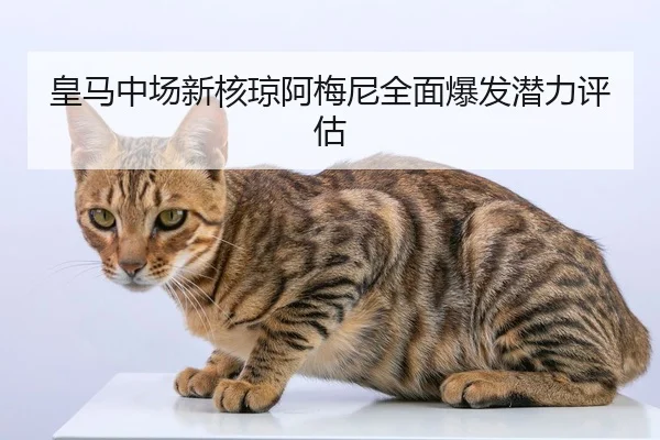 皇马中场新核琼阿梅尼全面爆发潜力评估 | XINGCAI